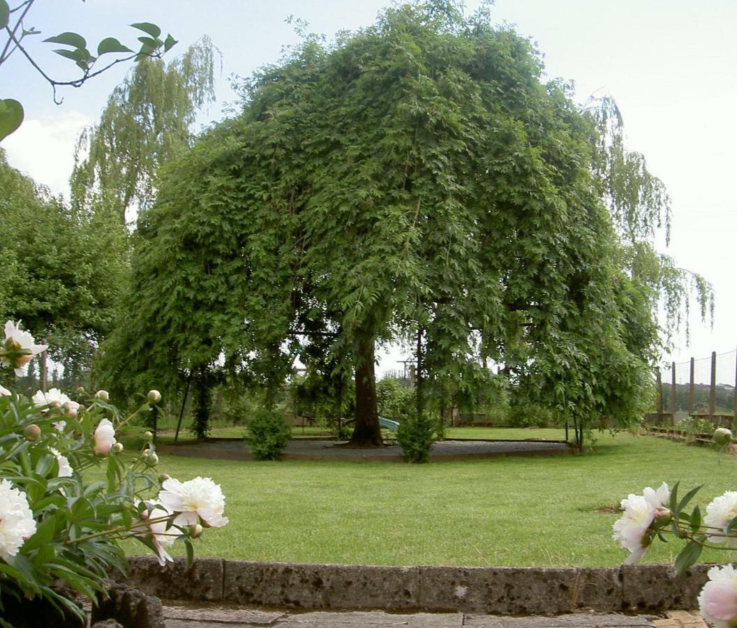 Les Jardins De L'Ile Apartamento Longeville-les-Metz Exterior foto